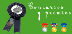Concursos y Premios